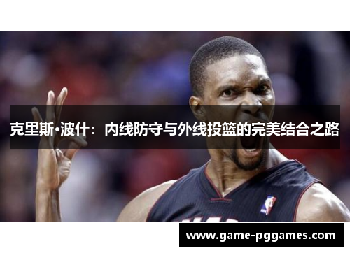 克里斯·波什：内线防守与外线投篮的完美结合之路