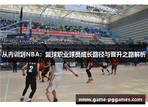 从青训到NBA：篮球职业球员成长路径与晋升之路解析