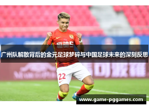 广州队解散背后的金元足球梦碎与中国足球未来的深刻反思