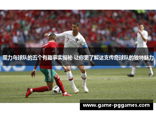 魔力鸟球队的五个有趣事实揭秘 让你更了解这支传奇球队的独特魅力